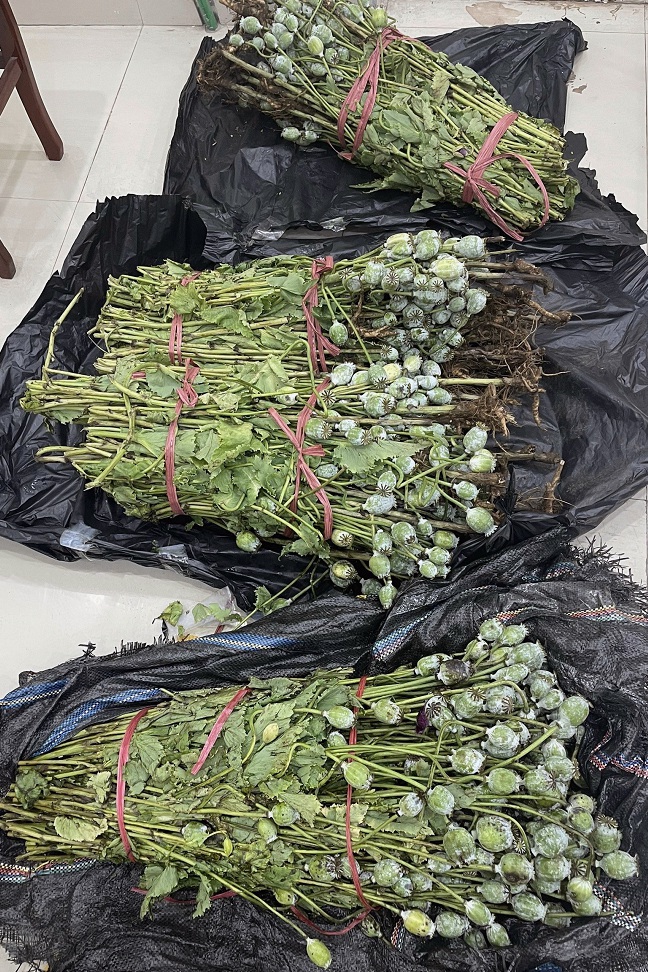 Nam thanh niên ship hơn 30 kg cây thuốc phiện lên phố cổ Hà Nội - Ảnh 2.