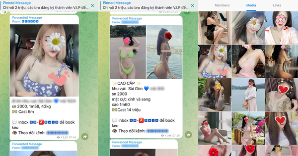 Triệt phá ổ mại dâm trên Telegram với 4 nghìn thành viên tham gia