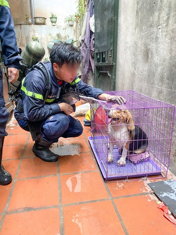  Chàng trai 24 tuổi ấy là người có tấm lòng nhân hậu, trái tim ấm áp, lan tỏa tình yêu thương tới mọi người, mọi loài vật. (Ảnh: Facebook Đ.V)