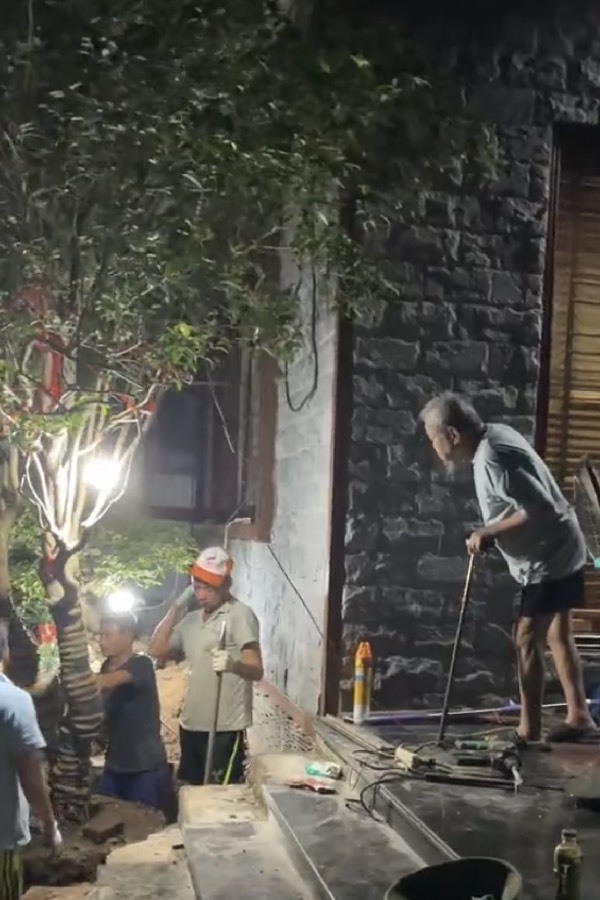  Ông cụ&nbsp;thực sự vô cùng tiếc nuối khi cái cây bị bán đi.&nbsp;(Ảnh: Chụp màn hình TikTok C.M.H)