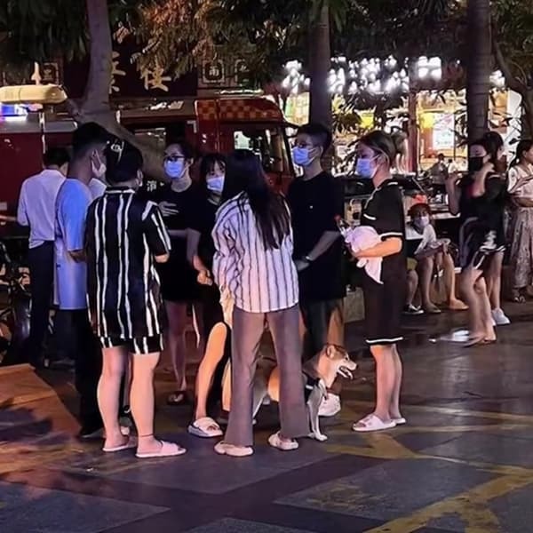  Cô Lý (áo kẻ trắng) cùng cún cưng đã ra được bên ngoài chung cư. (Ảnh: 163)