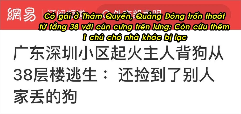  Sự việc cô gái cõng cún cưng trên lưng chạy thoát khỏi sự cố gây chú ý lớn. (Ảnh: Chụp màn hình 163)