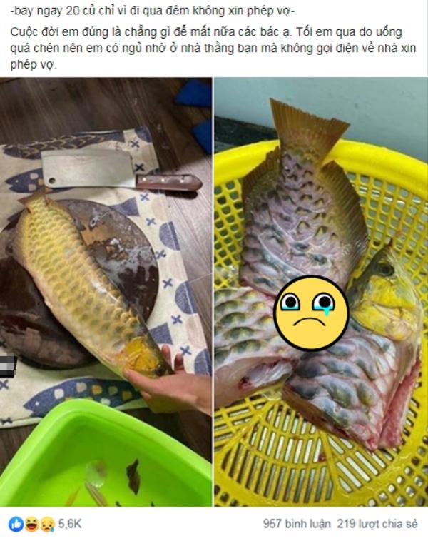Khi chồng mê cá hơn vợ và cái kết tan nát cái nịt cũng chẳng còn-1