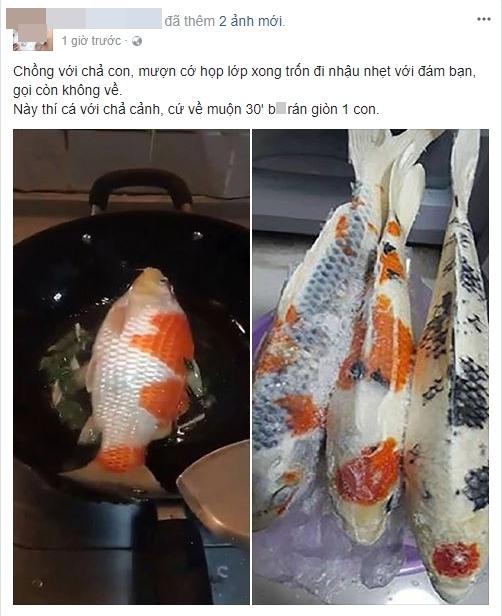 Khi chồng mê cá hơn vợ và cái kết tan nát cái nịt cũng chẳng còn-2