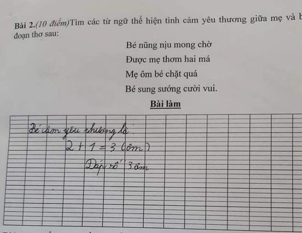 Viết văn thể hiện tình cảm với mẹ nhưng học trò miêu tả… lạ ghê-1