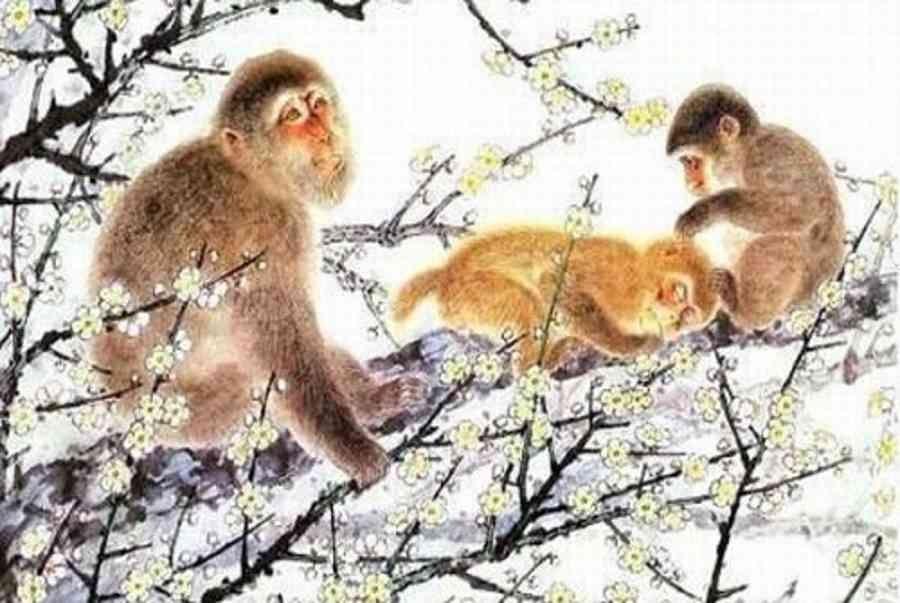 Từ 17-18/9 âm lịch: 4 tuổi vận đào hoa soán ngôi, crush liên tiếp tỏ tình-1