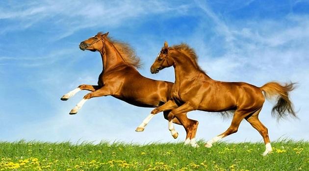 Từ 17-18/9 âm lịch: 4 tuổi vận đào hoa soán ngôi, crush liên tiếp tỏ tình-4