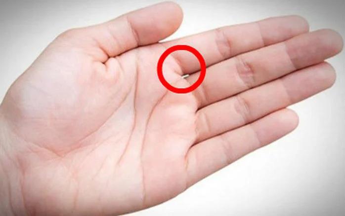 Nhìn kẽ hở bàn tay biết ai là người tài vận vượng phát-1