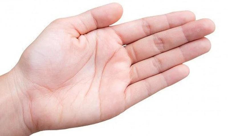 Trên người 3 chỗ to là có tiền, cả đời không túng thiếu, đó là chỗ nào?-1