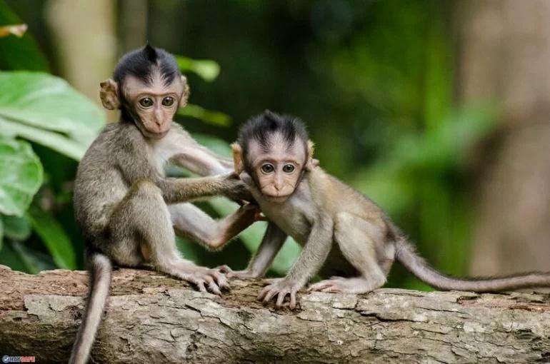 Trời sinh 4 tuổi nói một hiểu mười, được sếp yêu bạn mến-1