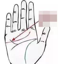 Đường chỉ tay phát tài phát lộc có số mệnh giàu sang, quyền quý cả đời-4