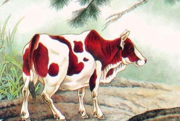 Từ 6 - 9/12 Âm lịch: 3 tuổi vận may bùng nổ, tiền tỷ vào tay-1