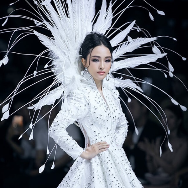 hoa hậu Trương Hồ Phương Nga, sao Việt