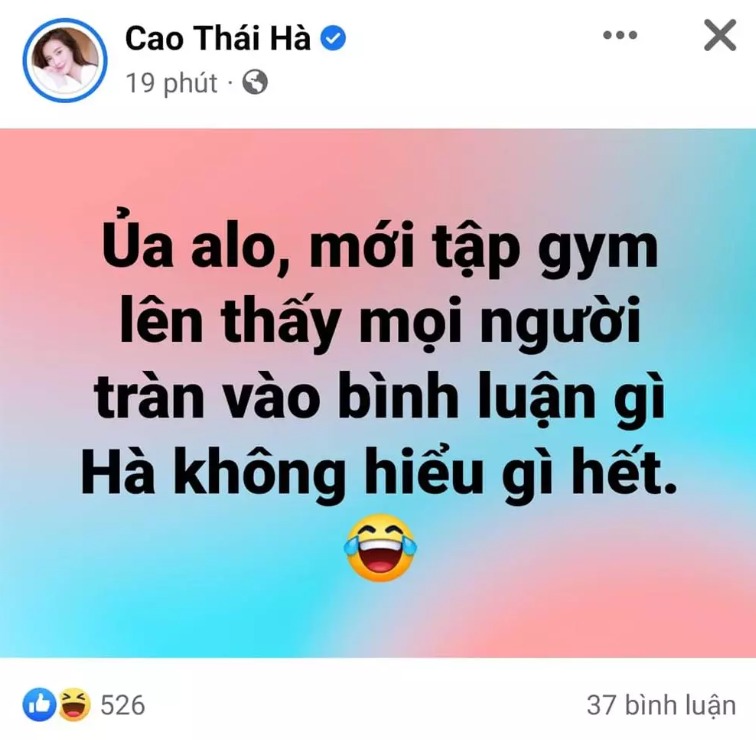 Động thái Cao Thái Hà trước những lời chê bai, chỉ trích.