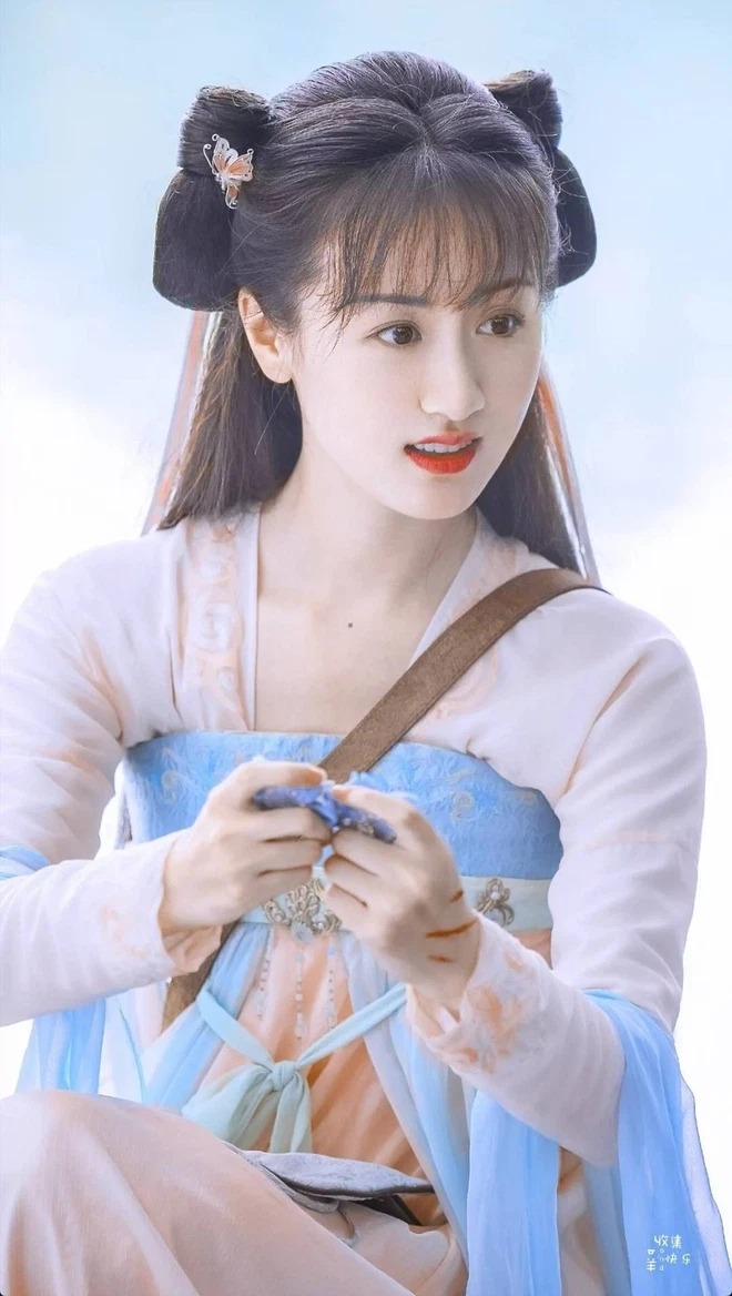 Viên Băng Nghiên , phong sát, trốn thuế, sao hoa ngữ
