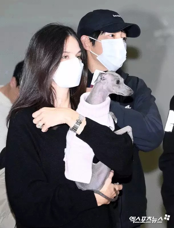 Song Joong Ki, Katy Louise Saunders , sao Hàn