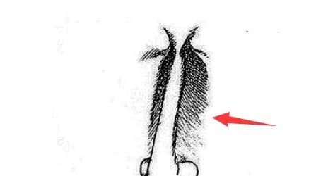 1-tuong-mat-cua-ke-xa-xa-doc-ac-ngoisaovn-w464-h250 3 tướng số, tướng người xấu xa, người tâm địa độc ác