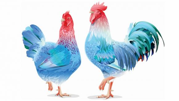 12 con giáp, tử vi 2022, con giáp giàu có