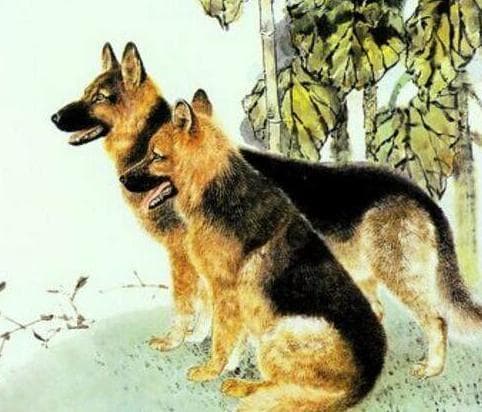 tử vi, con giáp, tử vi ngày mùng 1 tháng 2