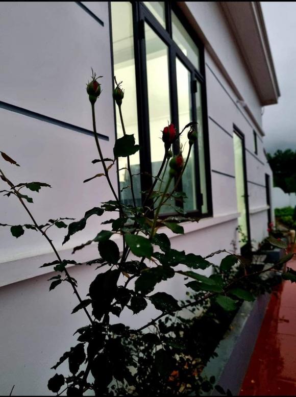 nhà đẹp, xây nhà tặng mẹ, mẫu nhà đẹp 