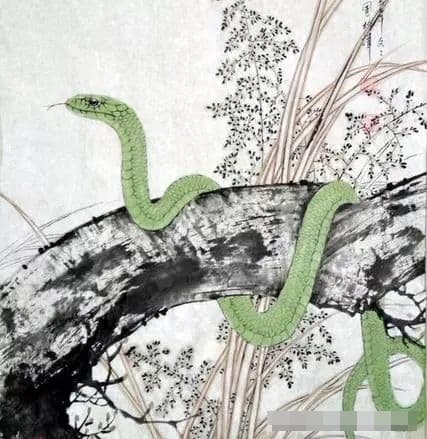 tử vi, con giáp, tử vi ngày 20