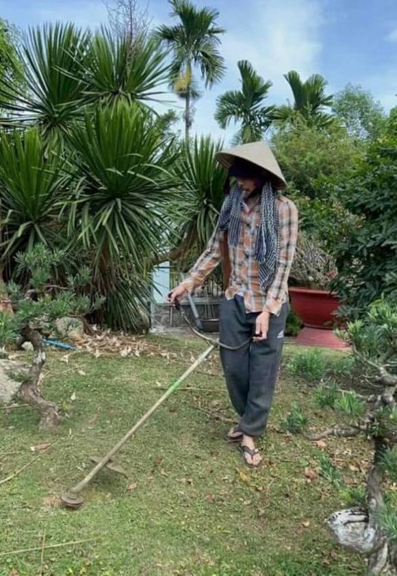 NSƯT Hoài Linh, sao Việt, danh hài Hoài Linh