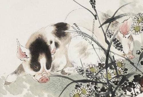 con-giap (45).jpg 2 tử vi, con giáp, con giáp nữ
