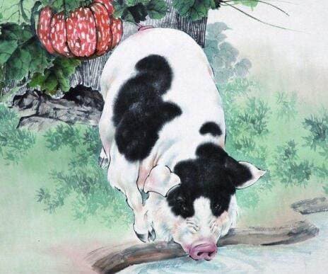 tử vi, con giáp