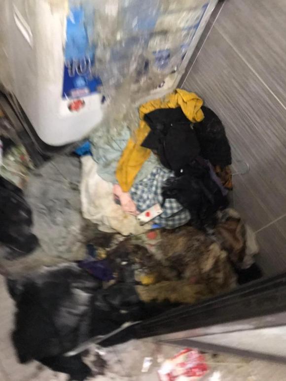 nữ sinh thuê nhà, nữ sinh ở bẩn, giới trẻ 