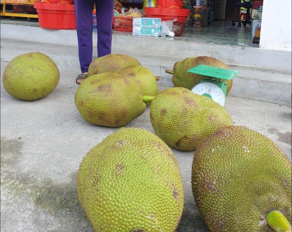 Con dâu, mẹ chồng, giới trẻ