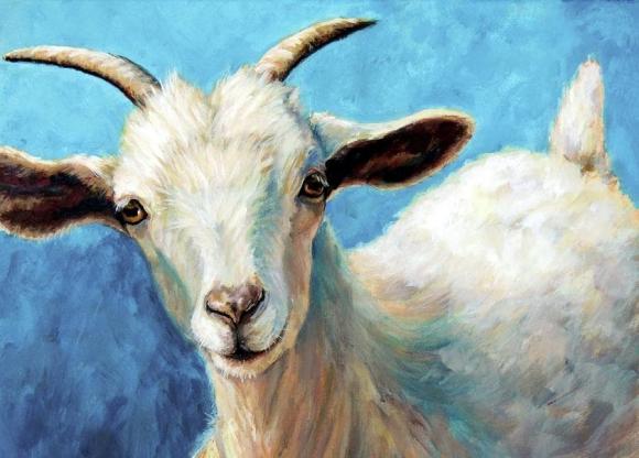 tử vi 12 con giáp, tử vi năm 2022, con giáp may mắn