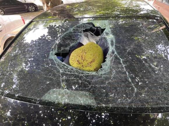 mít rơi vỡ kính, kính xe ô tô, rơi vỡ kính xe, giới trẻ 