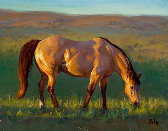 tử vi 12 con giáp, tử vi năm 2022, con giáp may mắn