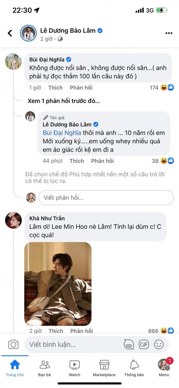 diễn viên hài Lê Dương Bảo Lâm, sao Việt