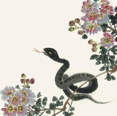 tử vi, con giáp