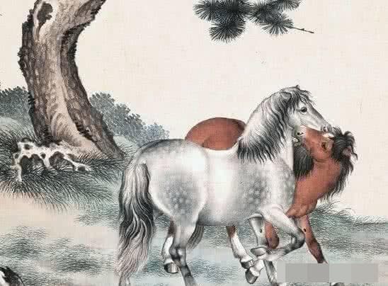 tử vi, con giáp, tuổi trung niên