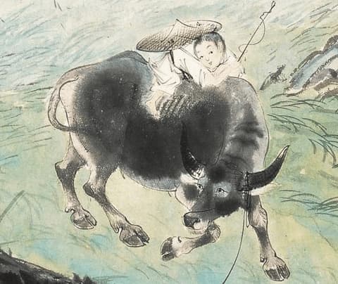 tử vi, con giáp, tuổi trung niên