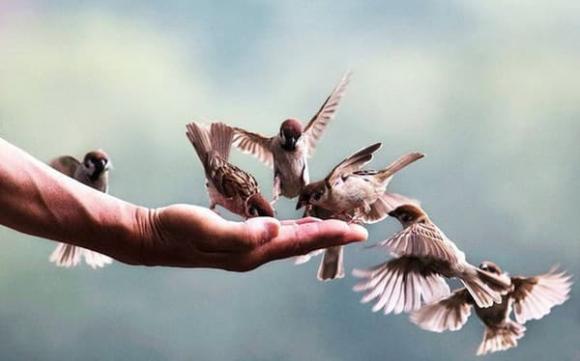 mùng 1 âm lịch, việc nên làm ngày mùng 1, việc làm cầu may mắn