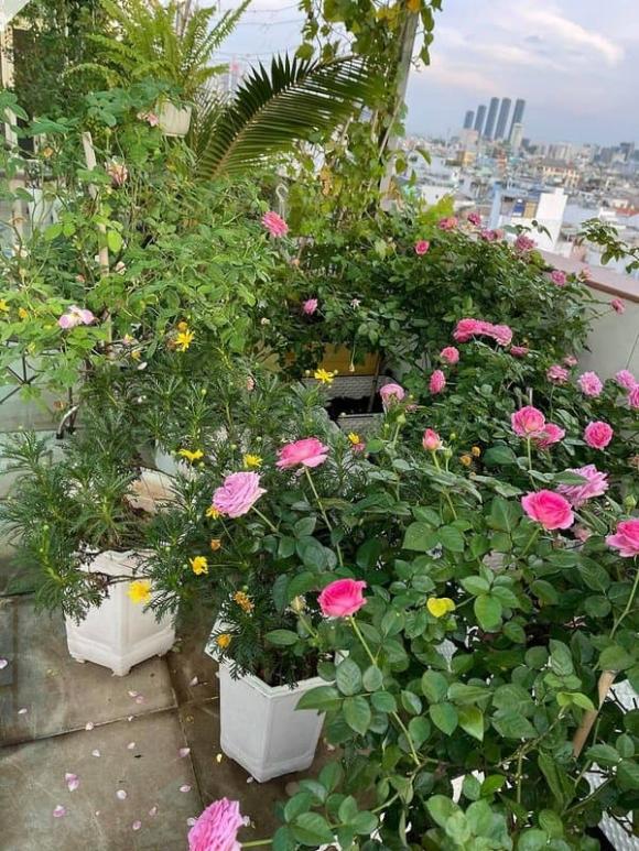 kiện tướng dancesport Khánh Thi,vu cong phan hien,sao Việt