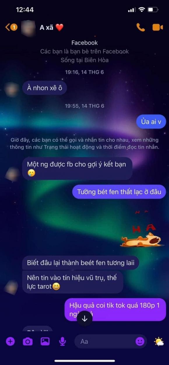 cưới sau 4 ngày, cưới sau 4 ngày quen biết, giới trẻ 