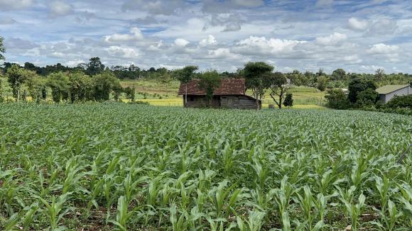 Trang Trần, Trang Trần mua đất, sao việt 