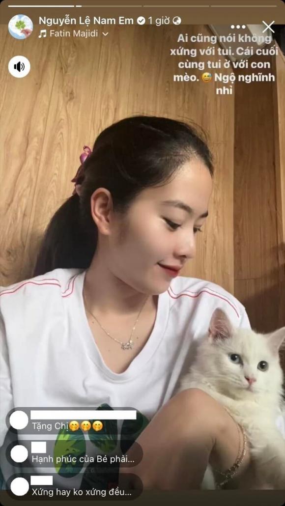 hoa khôi Nam Em, sao Việt