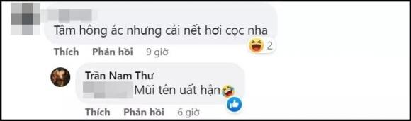 diễn viên Nam Thư, sao Việt