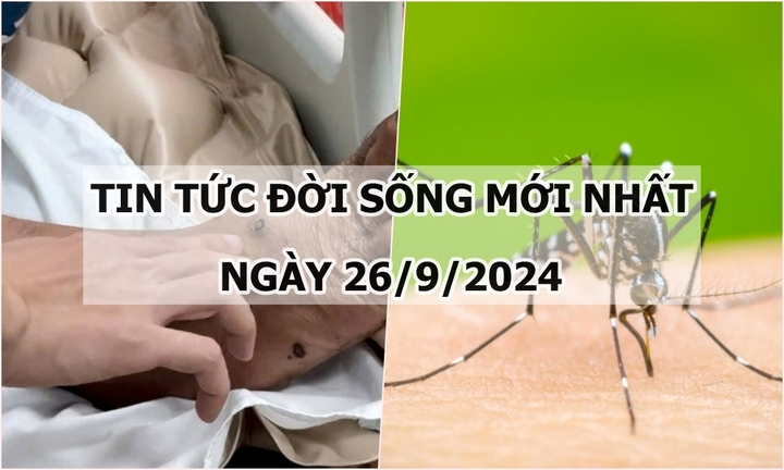 Tin tức đời sống 26/9/2024: Số ổ dịch sốt xuất huyết ở Hà Nội tăng sau mưa ngập