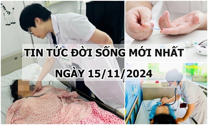 Tin tức đời sống 15/11/2024: Hơn 800 triệu người trên thế giới bị tiểu đường