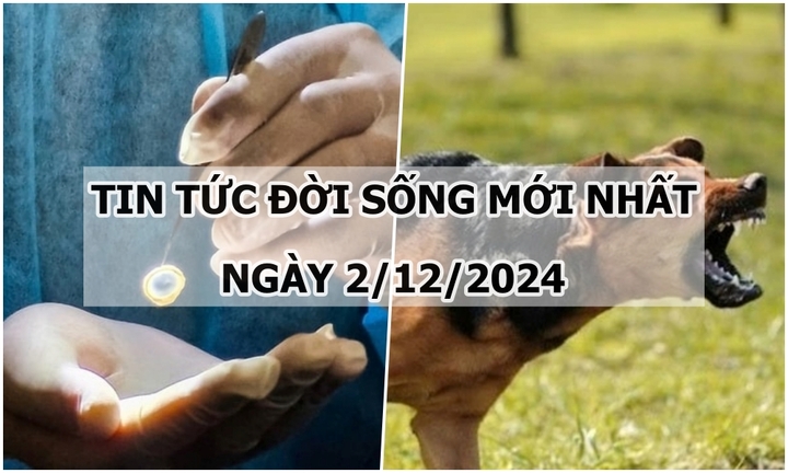 Tin tức đời sống 2/12/2024: Bé trai tử vong sau 2 tháng bị chó cắn