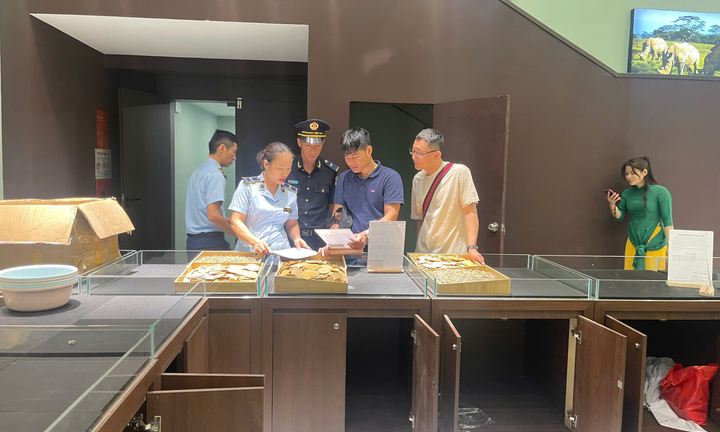 Quảng Ninh: Thu giữ hàng chục kg củ ba kích, sâm tố nữ... không rõ nguồn gốc