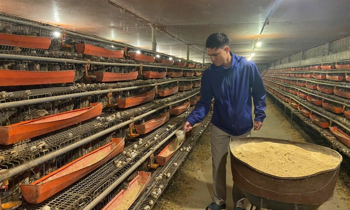 Bỏ việc ổn định về quê nuôi con 