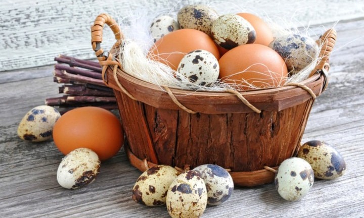 Trẻ em nên ăn mấy quả trứng mỗi tuần?