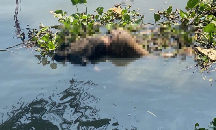 Phát hiện thi thể cao 1,69 m, túi quần có số 233 trôi trên sông Sài Gòn